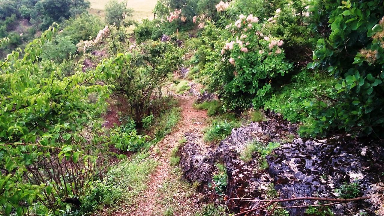 Una Canyon Paradise Bihać 外观 照片