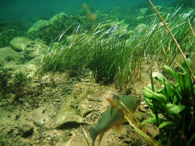 Una Canyon Paradise Bihać 外观 照片