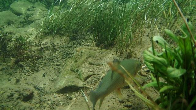 Una Canyon Paradise Bihać 外观 照片