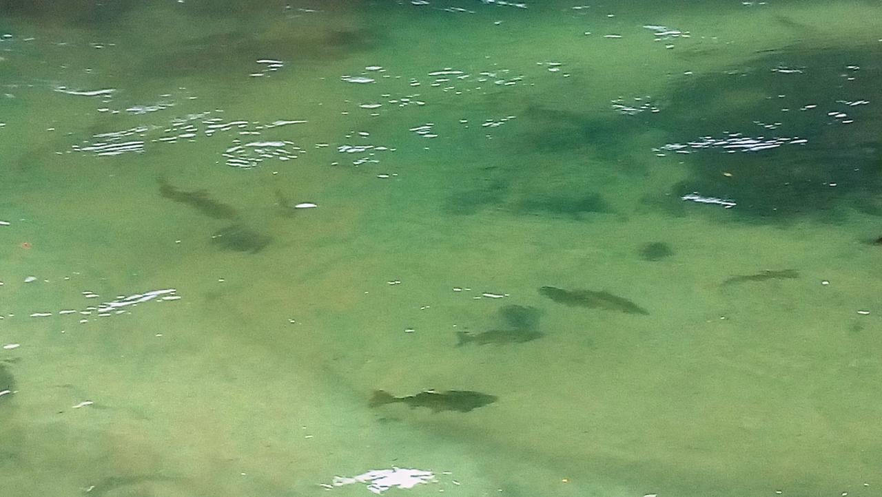 Una Canyon Paradise Bihać 外观 照片